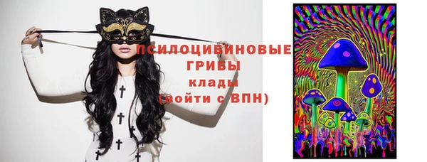 спайс Дмитровск