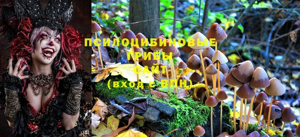 спайс Дмитровск