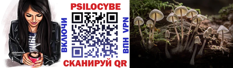 Псилоцибиновые грибы Cubensis  Купить  Коркино 